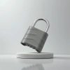 Grey padlock anti-picking stainless steel padlock, 30mm lock body anti-theft padlock, home and office padlock Application Scenario